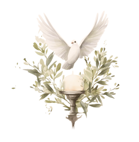 Ilustrasi Merpati Putih